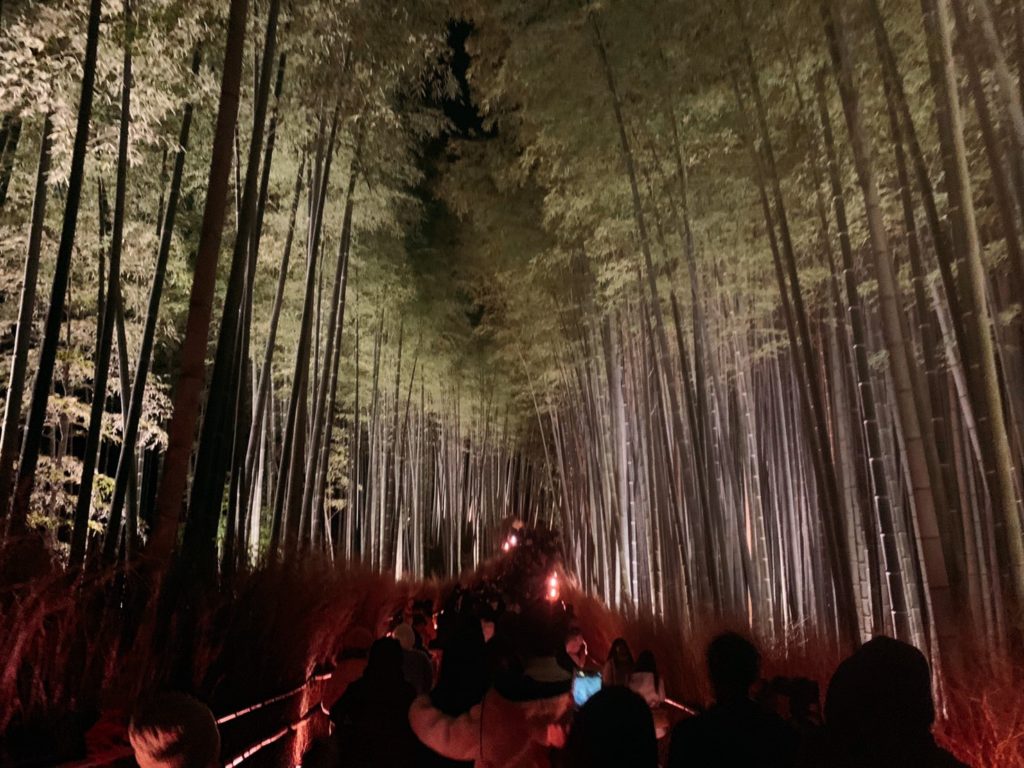 京都　嵐山花灯路　竹林　見どころ